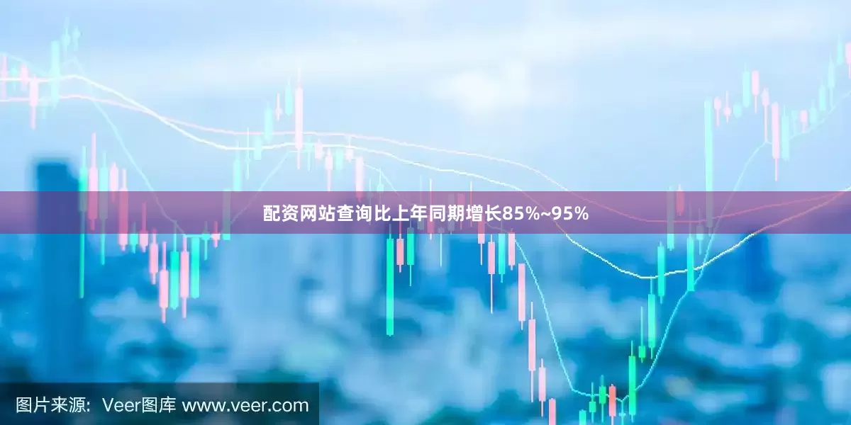 配资网站查询比上年同期增长85%~95%