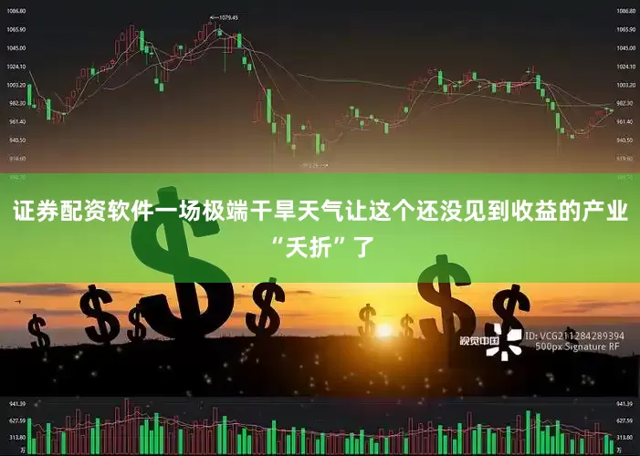 证券配资软件一场极端干旱天气让这个还没见到收益的产业“夭折”了