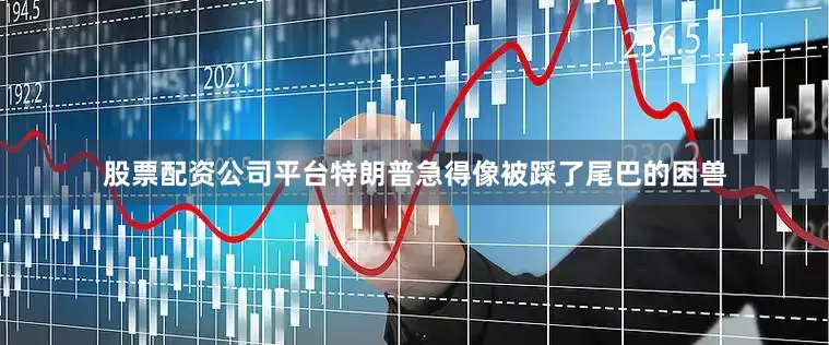 股票配资公司平台特朗普急得像被踩了尾巴的困兽